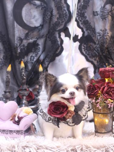 20231018リアンくん